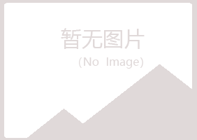 青山区山柳化学有限公司